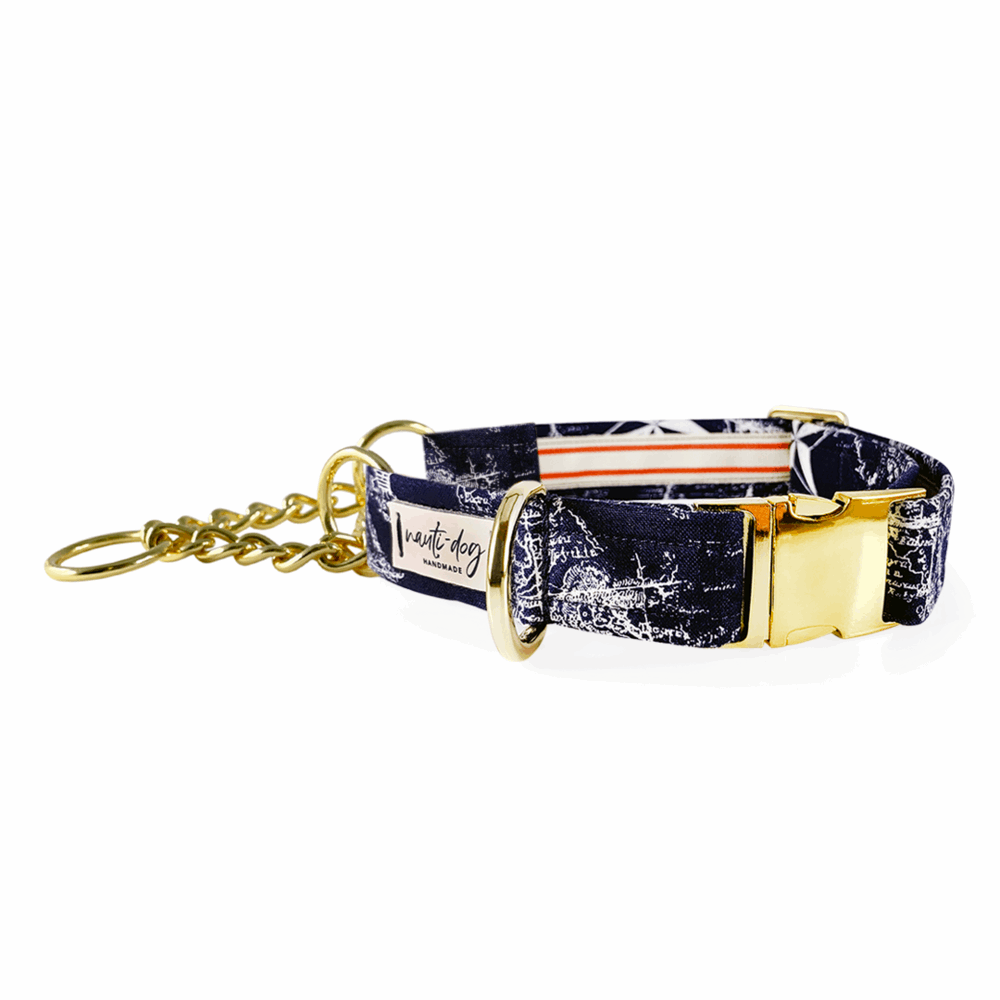 vintage navy and white maritime toile nautical map chain martingale dog collar with gold hardware