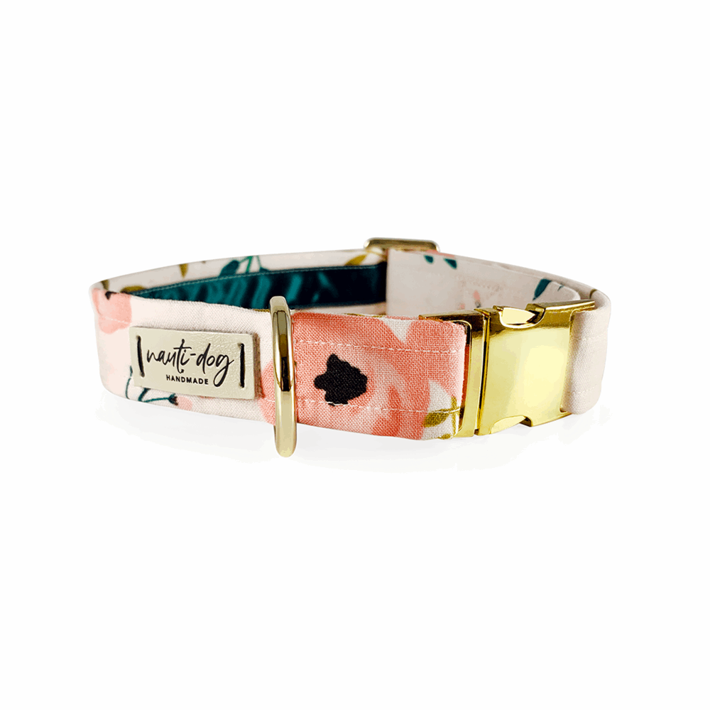Charleston Blush Floral Tea Rose Dog buckle Collar with gold hardware