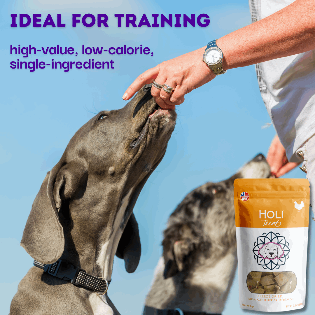 Two dogs training with HOLI freeze dried chicken treats