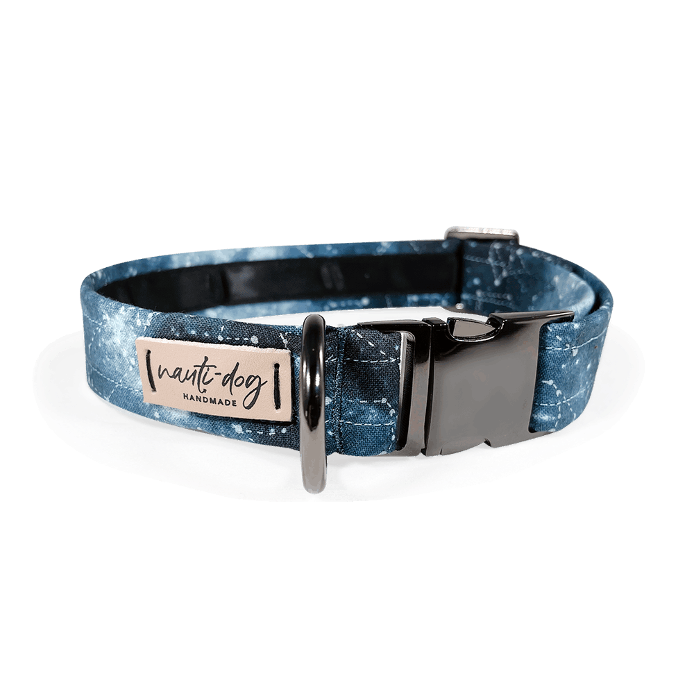 Constellation Astrological Star Chart Buckle & Martingale Dog Collar with black gun metal hardware