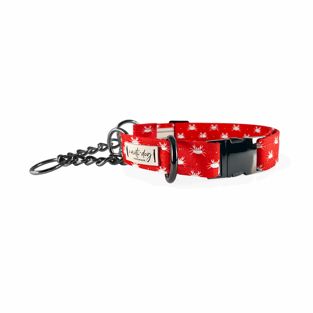 Crabby Red Maryland Crab Coastal chain Martingale Dog Collar with black gun metal hardware