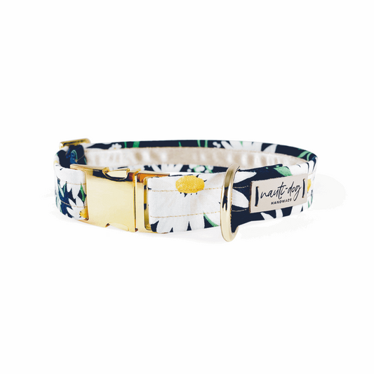 Daisy Summer Navy Floral Buckle & Martingale Dog Collar with gold hardware