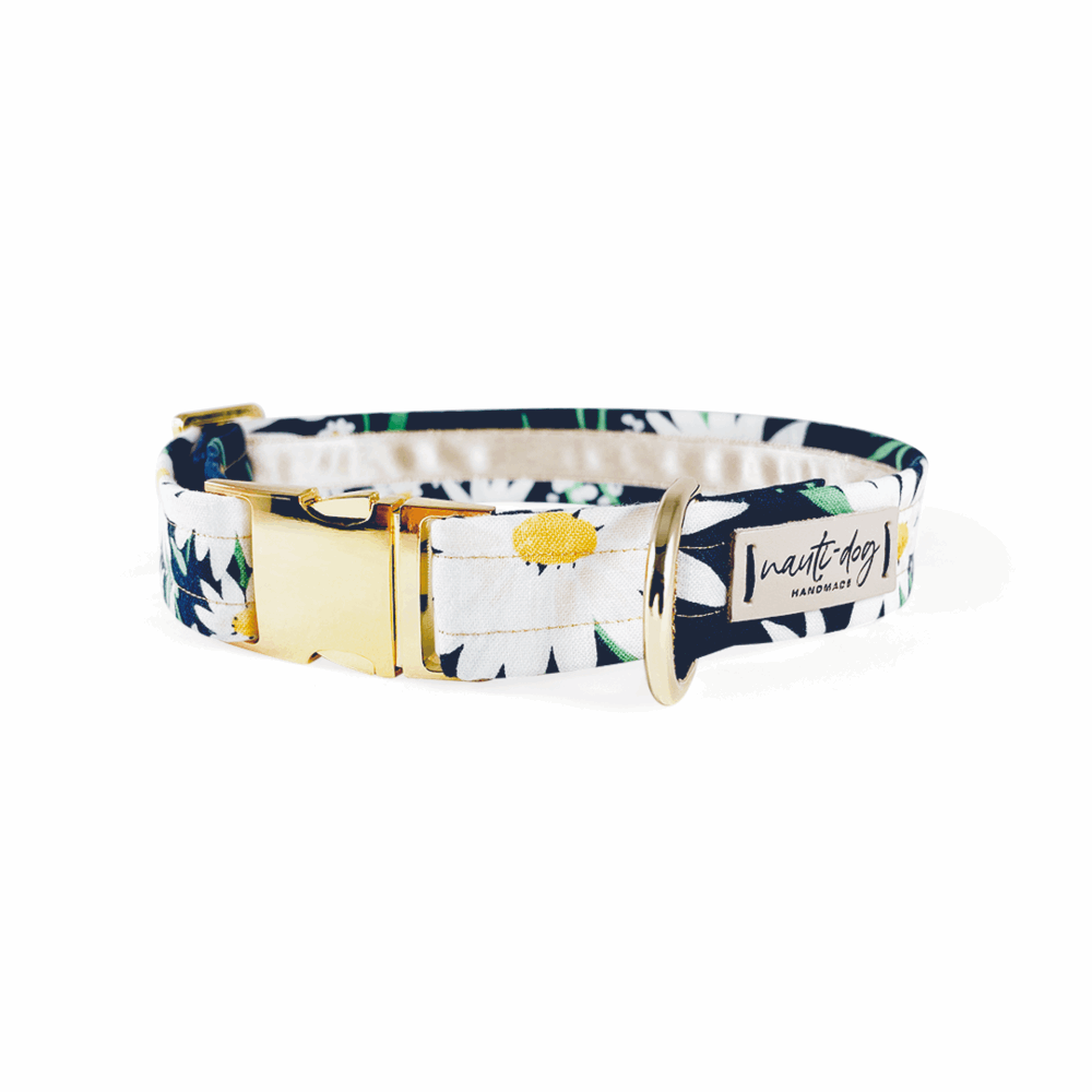 Daisy Summer Navy Floral Buckle & Martingale Dog Collar with gold hardware
