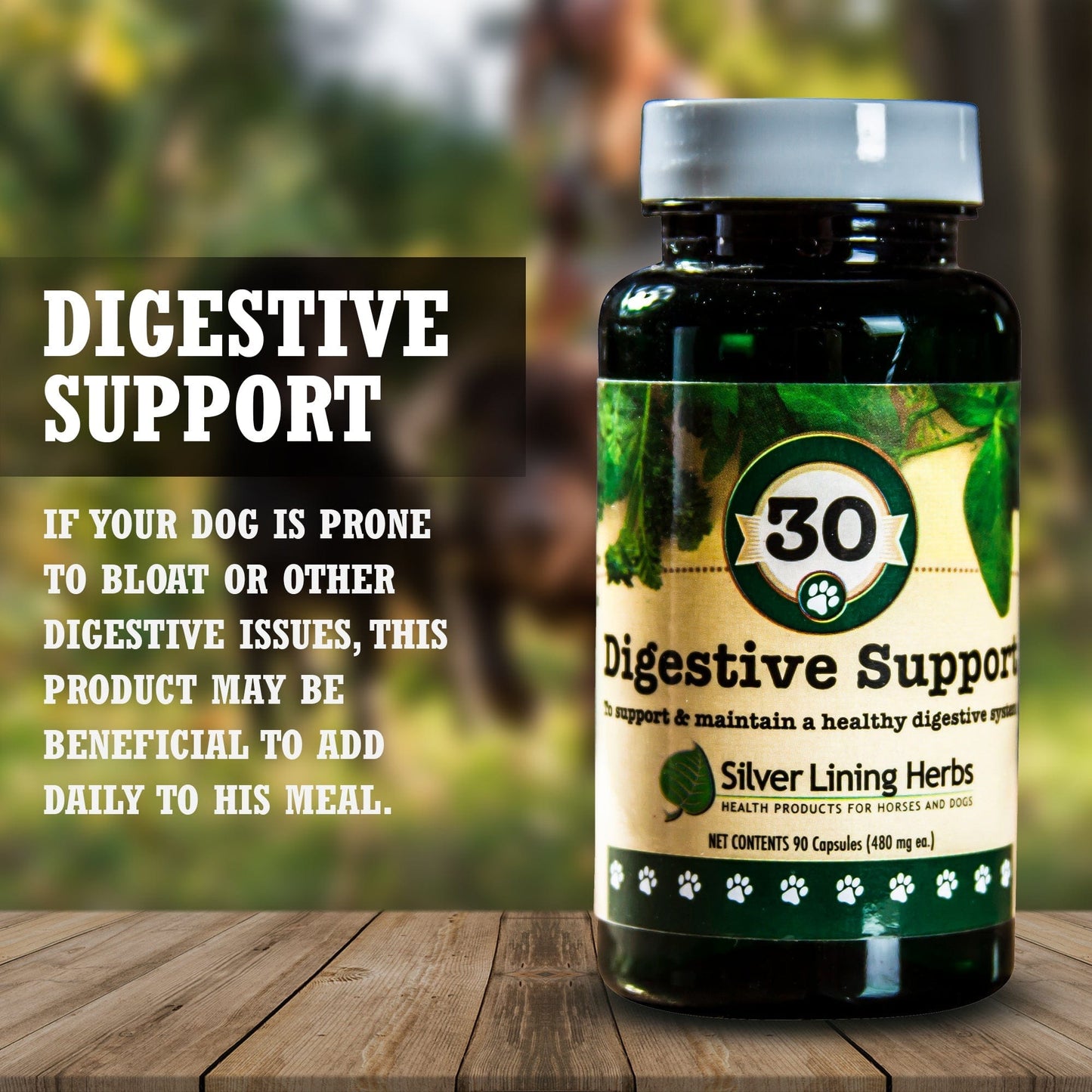 Digestive Support by Silver Linings Herbs