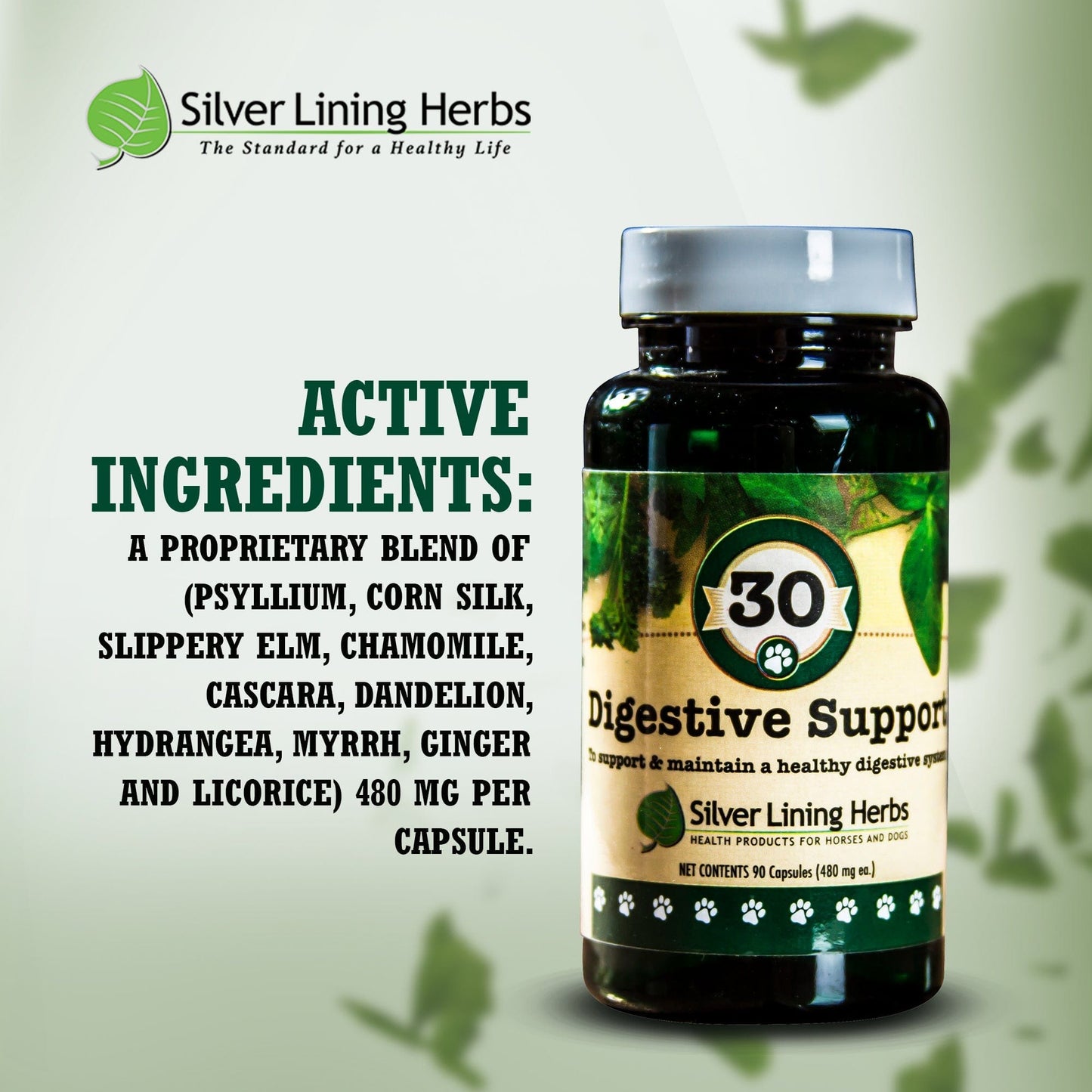 Digestive Support by Silver Linings Herbs
