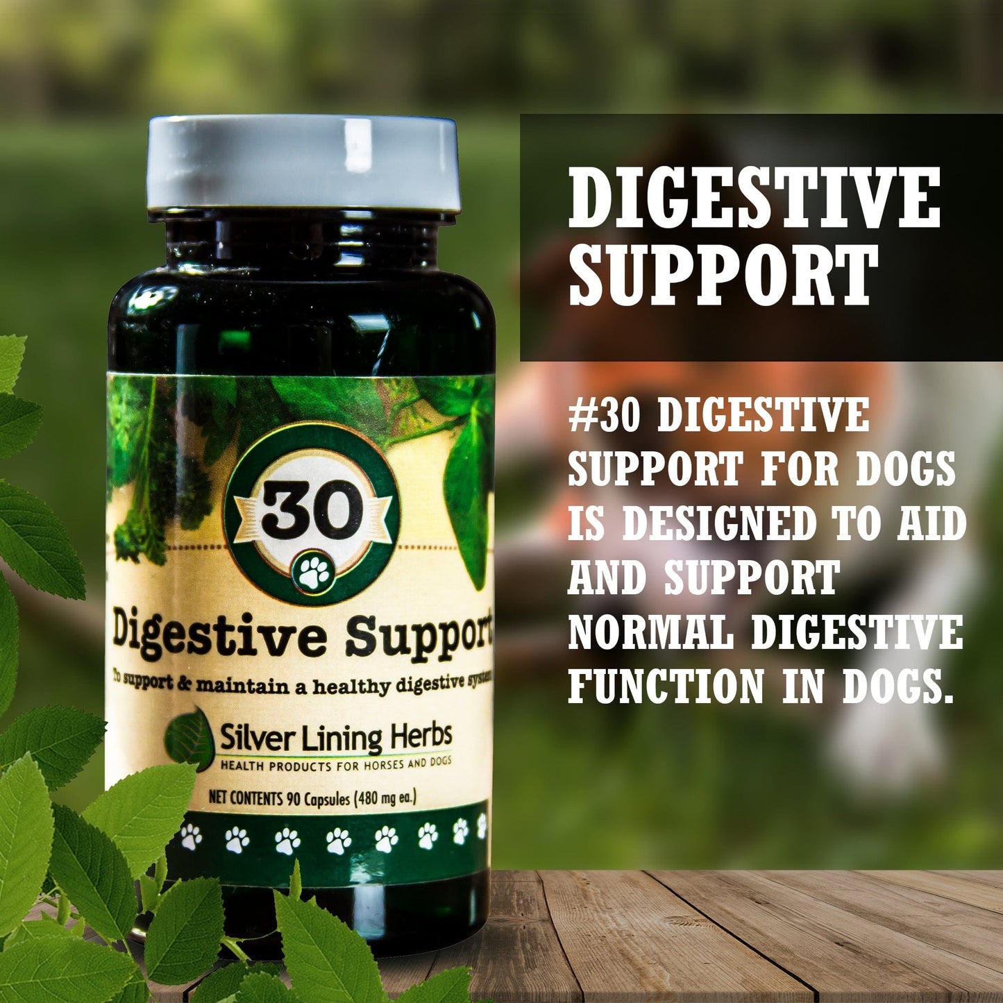 Digestive Support by Silver Linings Herbs