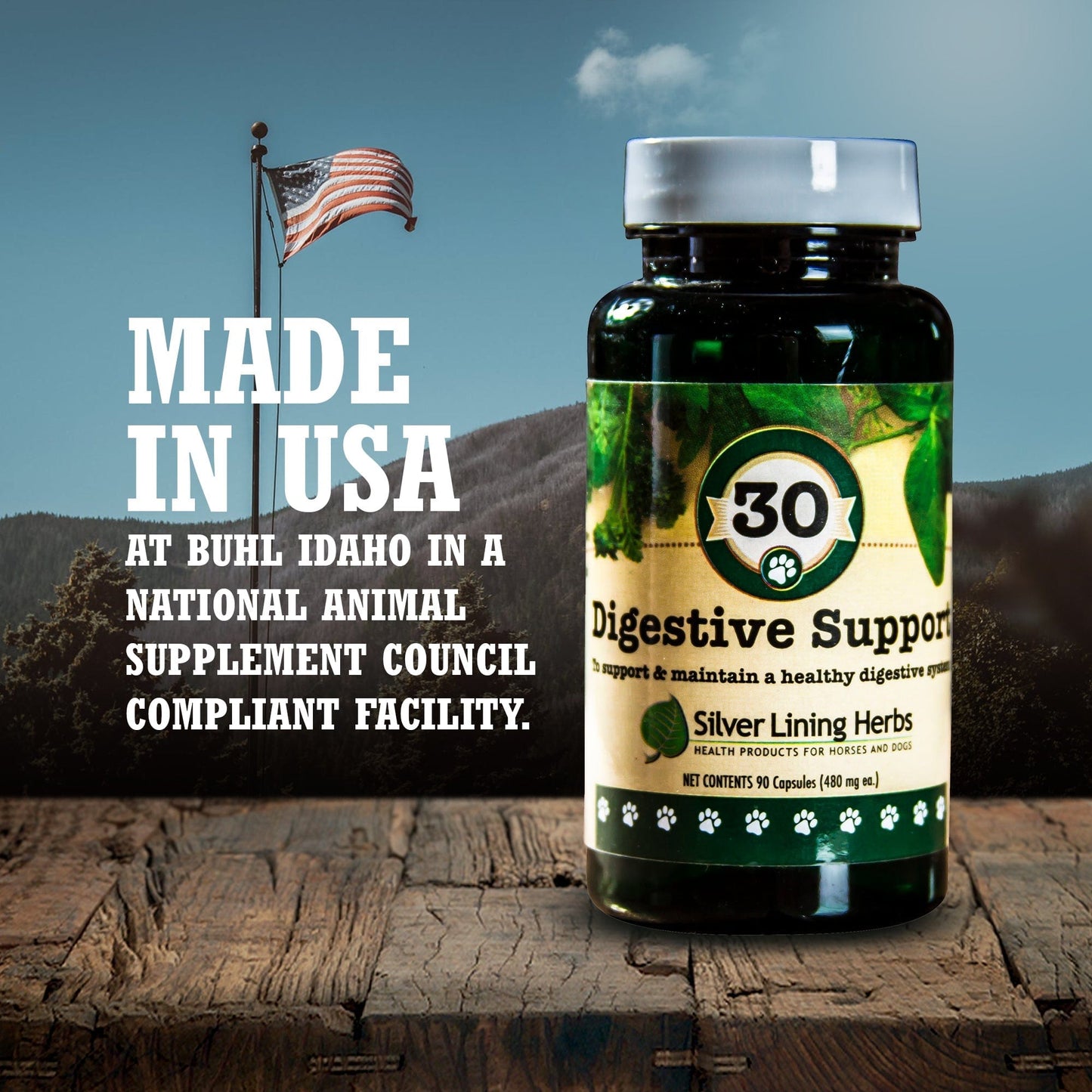 Digestive Support by Silver Linings Herbs