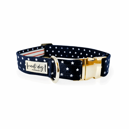 Independence Patriotic American Star Navy Buckle & Martingale Dog Collar in gold hardware