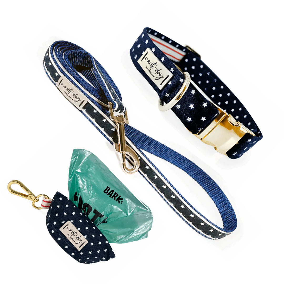 Independence Patriotic American Star Collar, Leash & Wastebag Dispenser Walking Set with Polished Gold Hardware