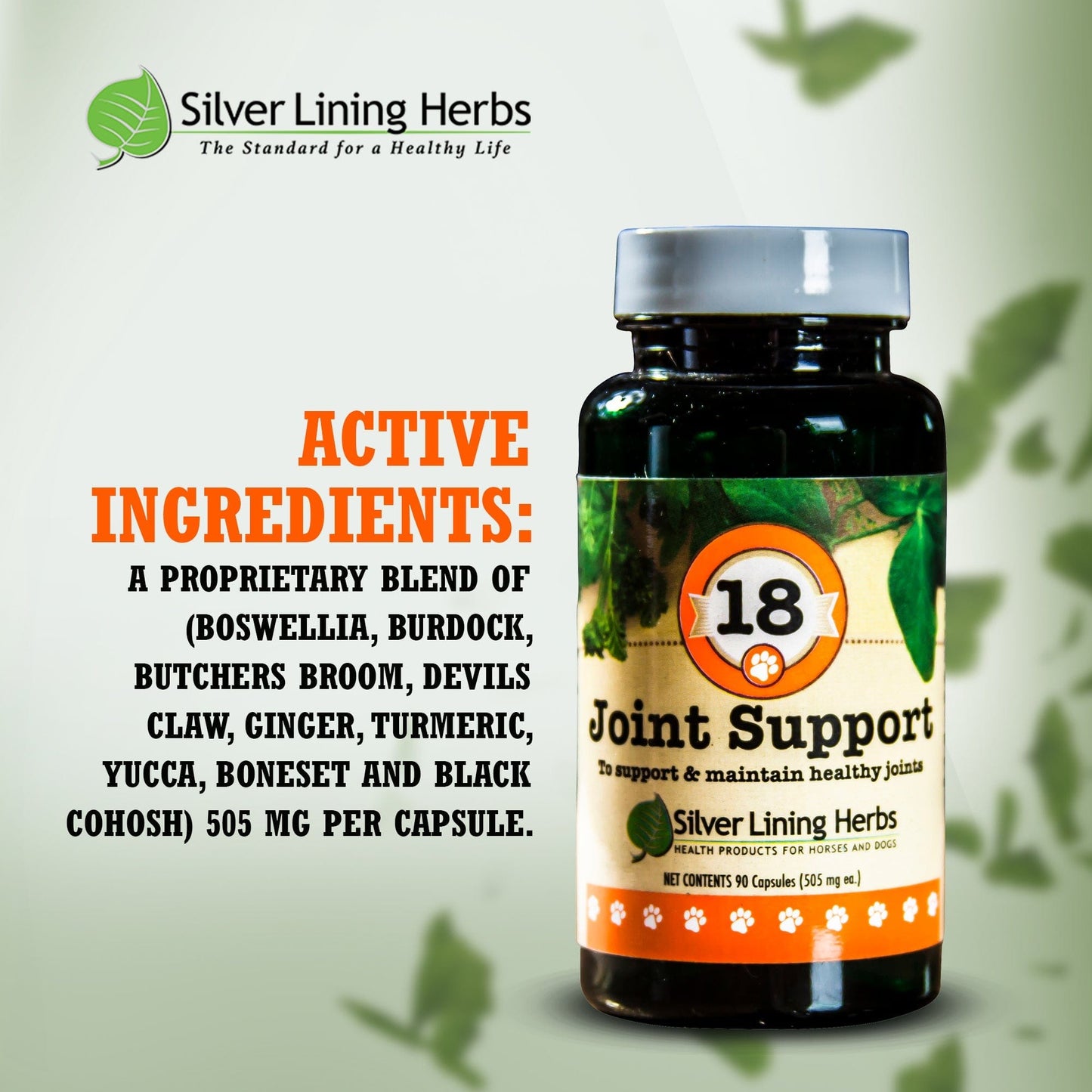 Joint Support by Silver Linings Herbs