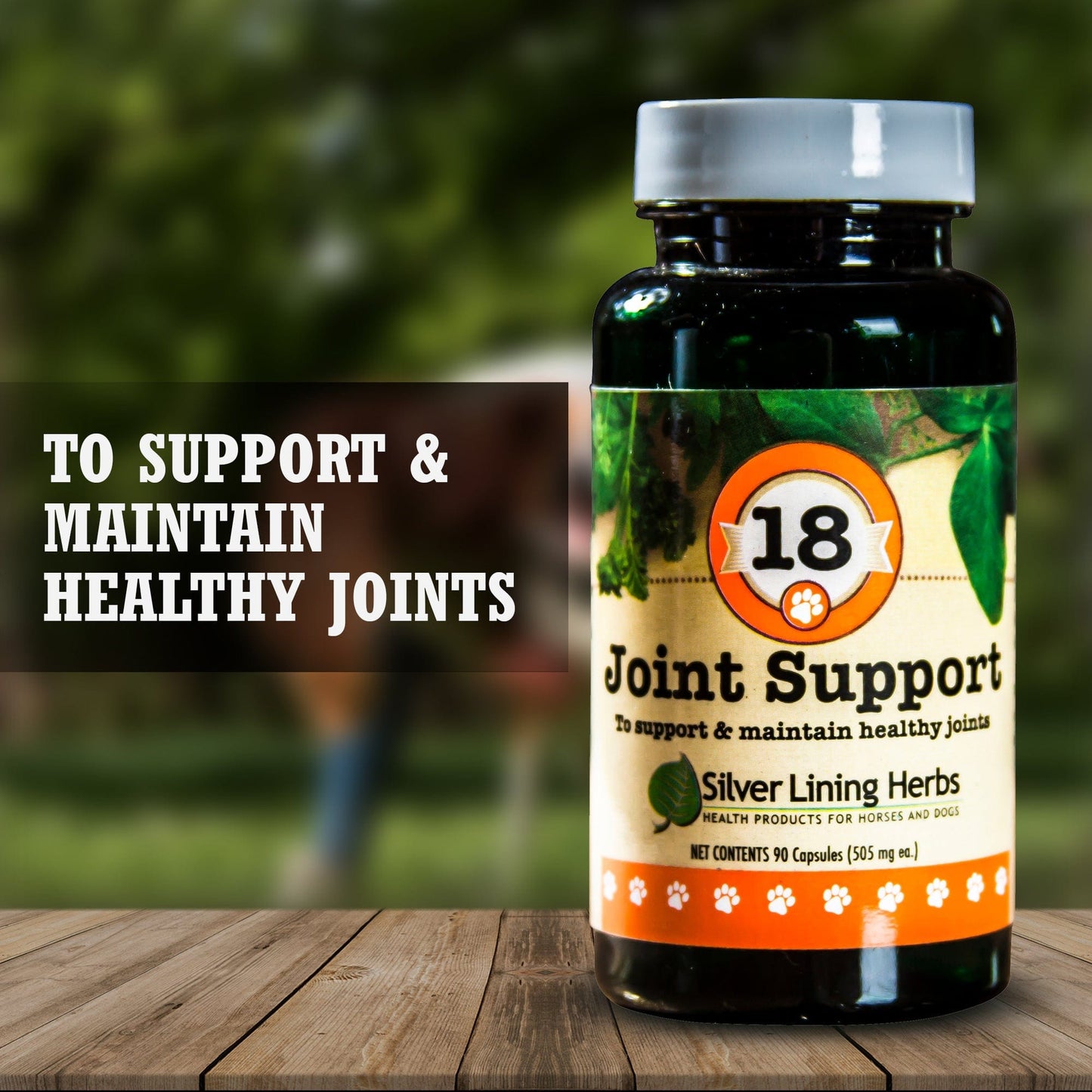 Joint Support by Silver Linings Herbs