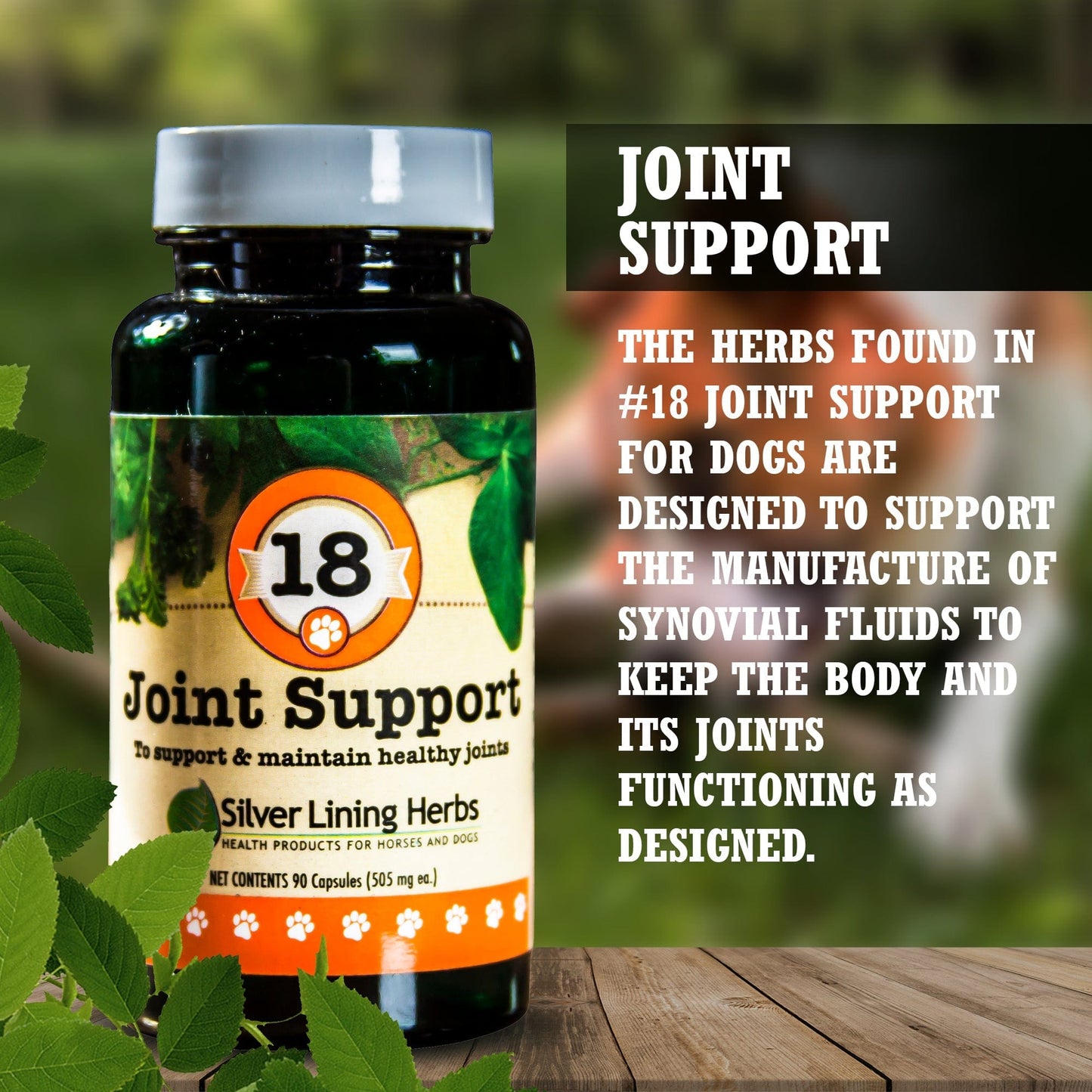Joint Support by Silver Linings Herbs