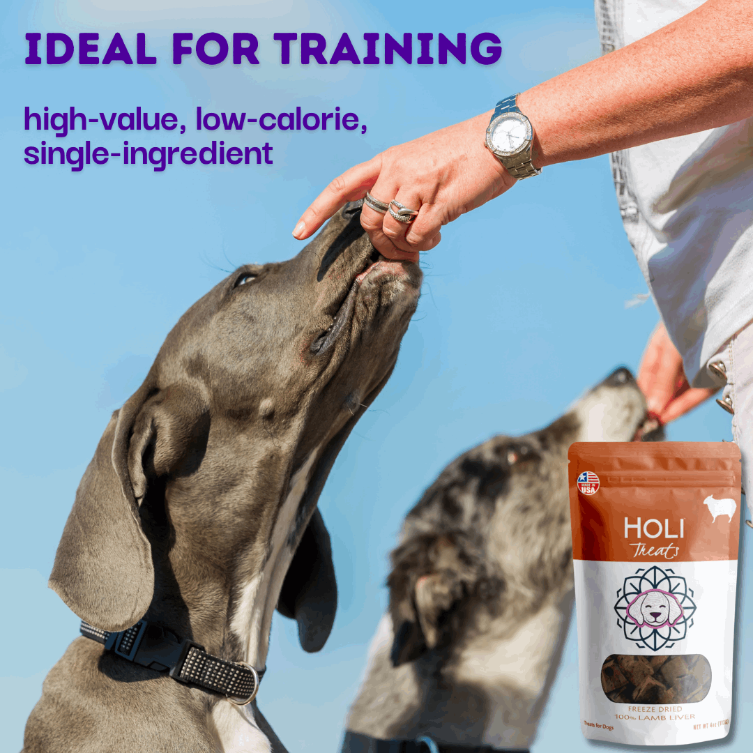 two dogs training with Lamb Liver Dog Treats by HOLI