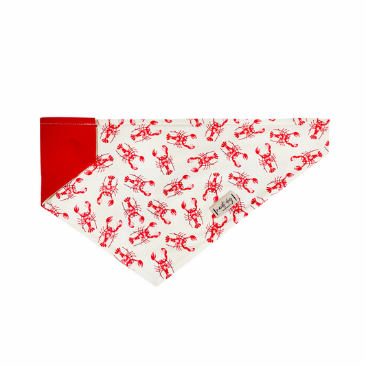 Red Lobster Over-the-Collar Dog Bandana