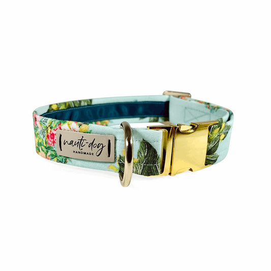 Piña Tropical Floral Pineapple Buckle & Martingale Dog Collar with gold hardware