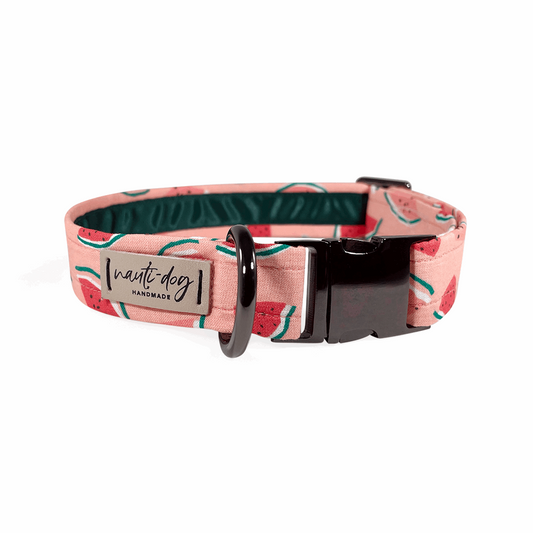 Summer Pink Watermelon Buckle & Martingale Dog Collar with black gun metal hardware