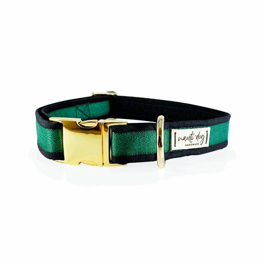 Thin Green Line Military Memorial Buckle & Martingale Dog Collar with gold hardware