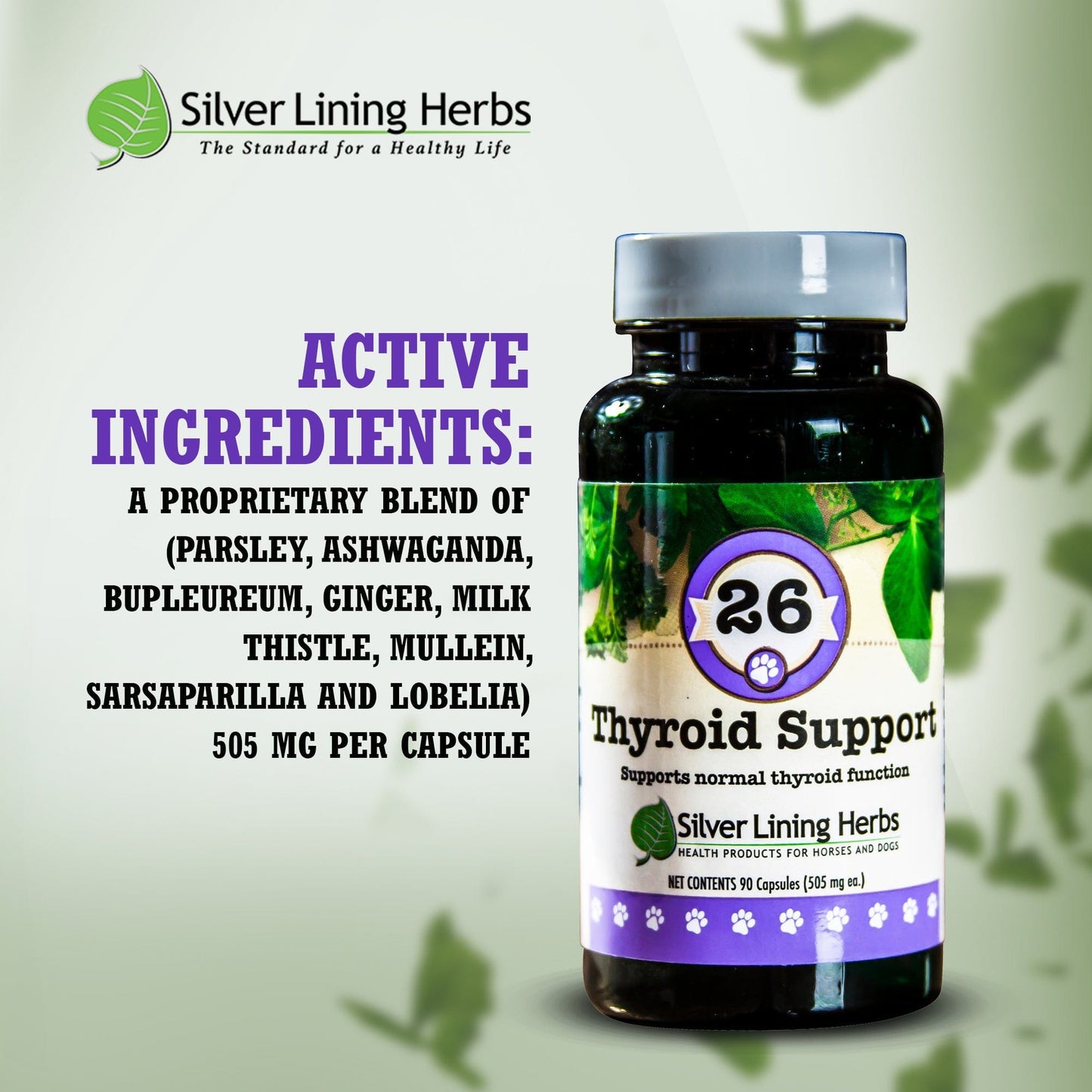 Thyroid Support by Silver Lining Herbs