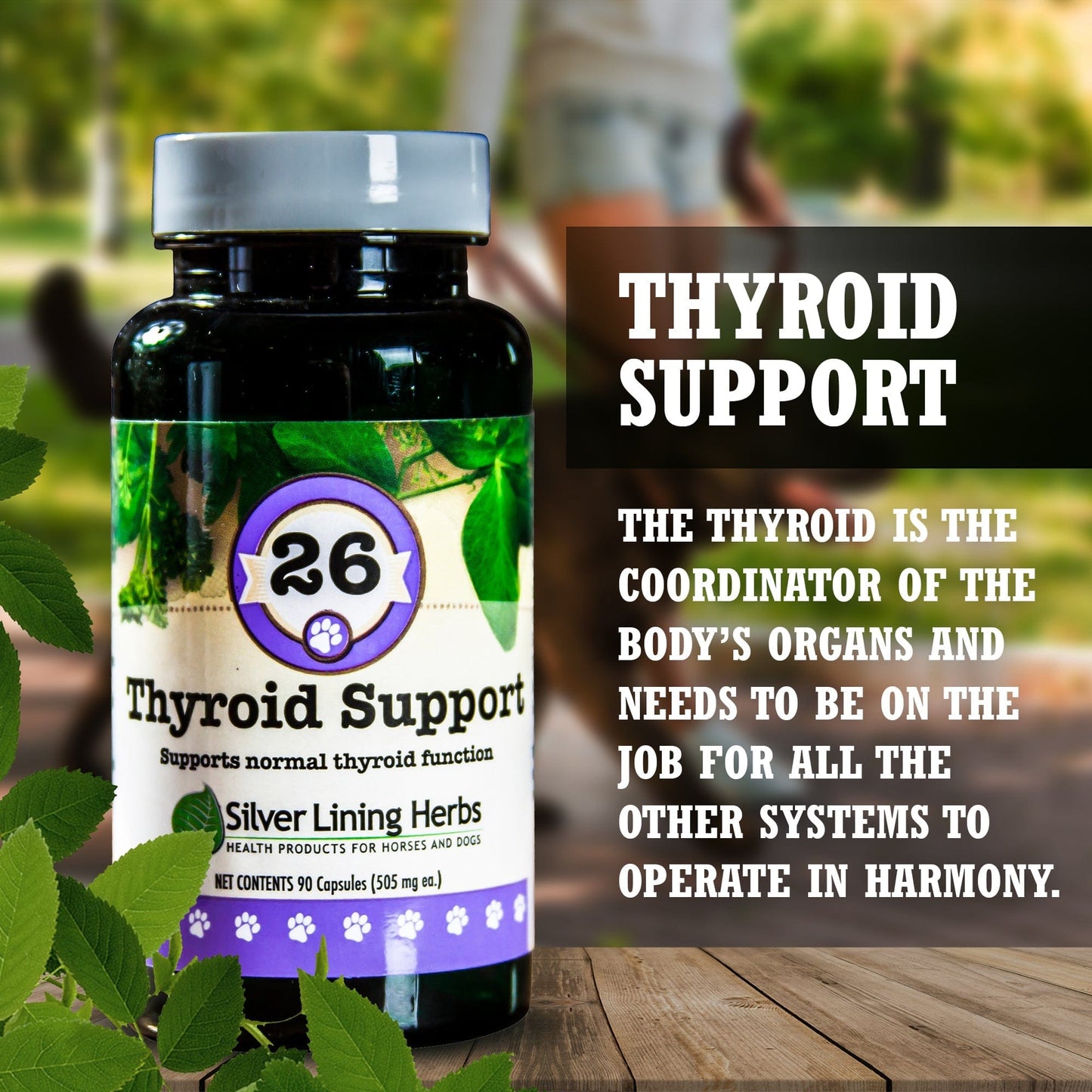 Thyroid Support by Silver Lining Herbs