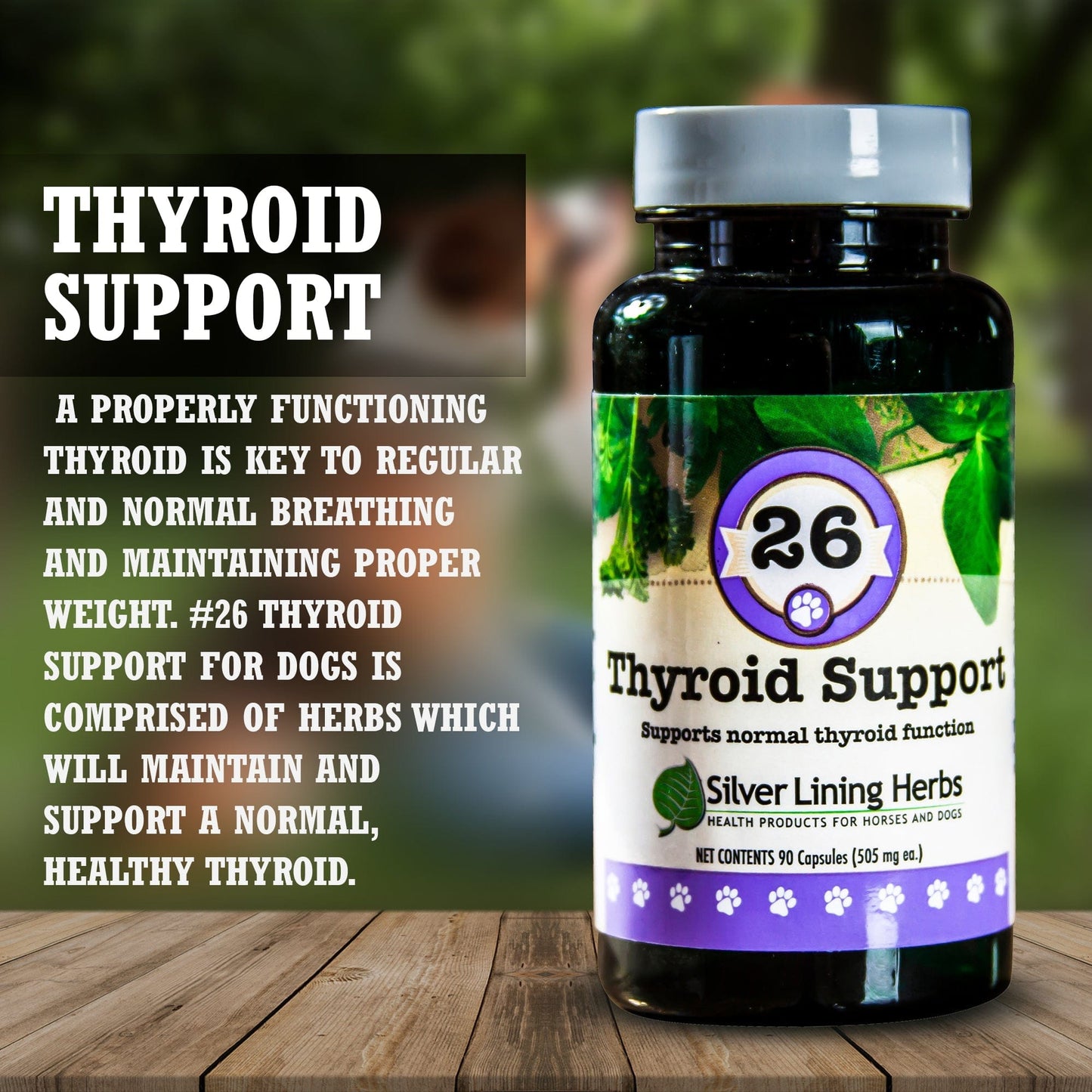 Thyroid Support by Silver Lining Herbs
