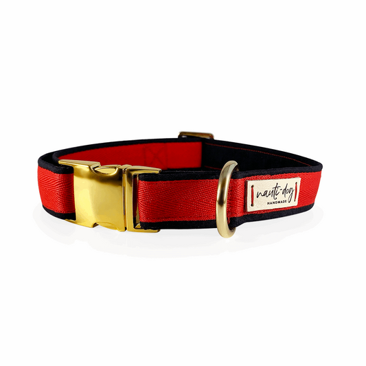 Thin Red Line Firefigther Memorial Buckle & Martingale Dog Collar with gold hardware