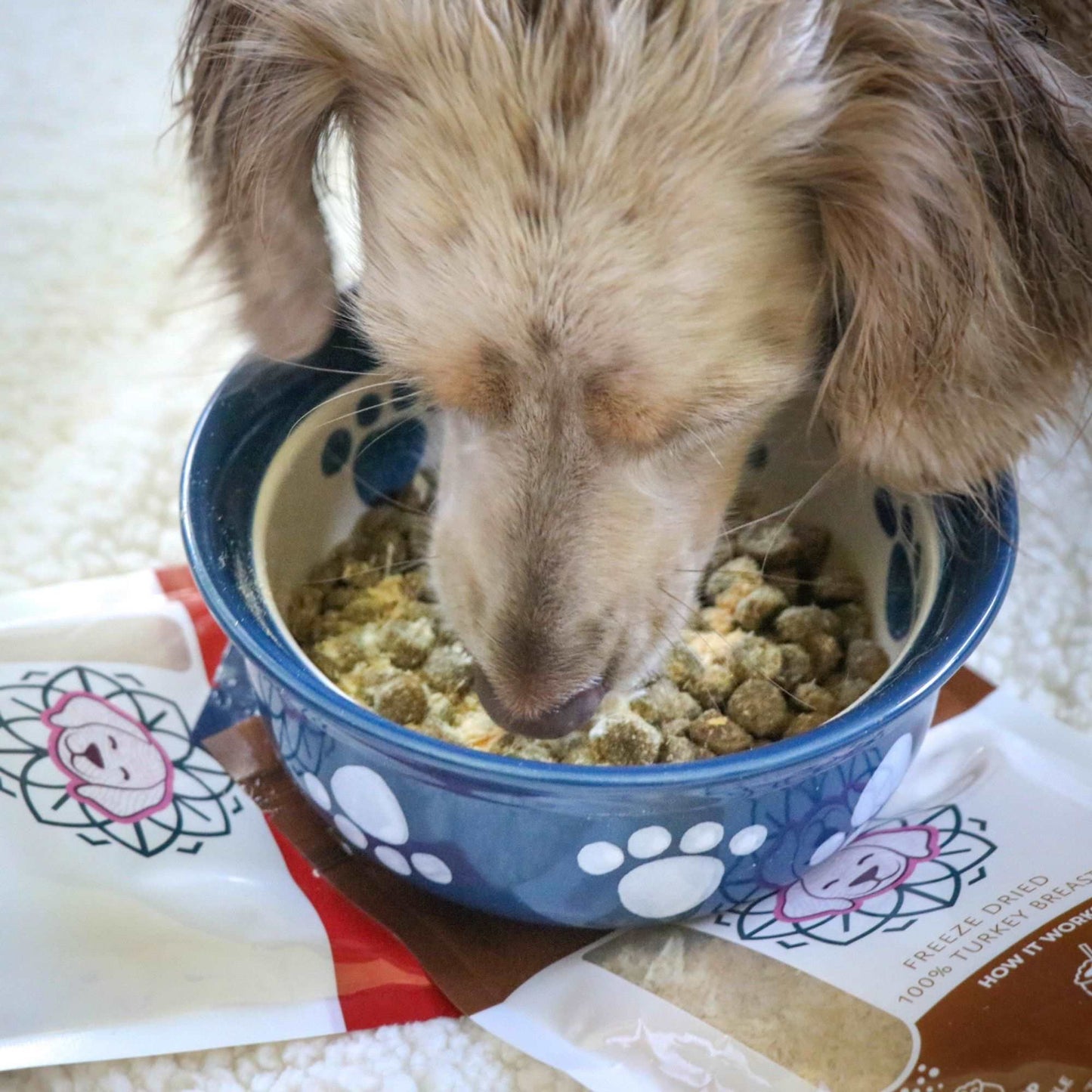 Dog eating HOLI Rabbit Dog Food Topper over kibble from bowl