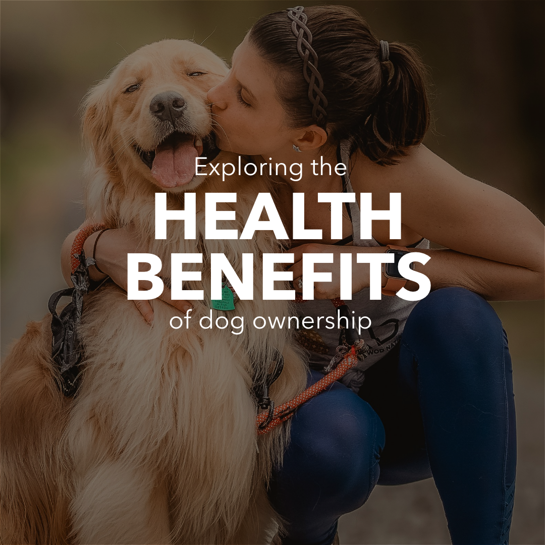 Pawsitive Effects: Exploring the Health Benefits of Dog Ownership