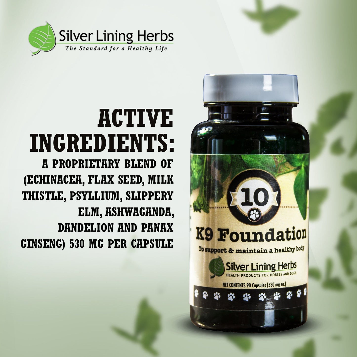 Foundation Base Herbal Supplement by Silver Linings Herbs