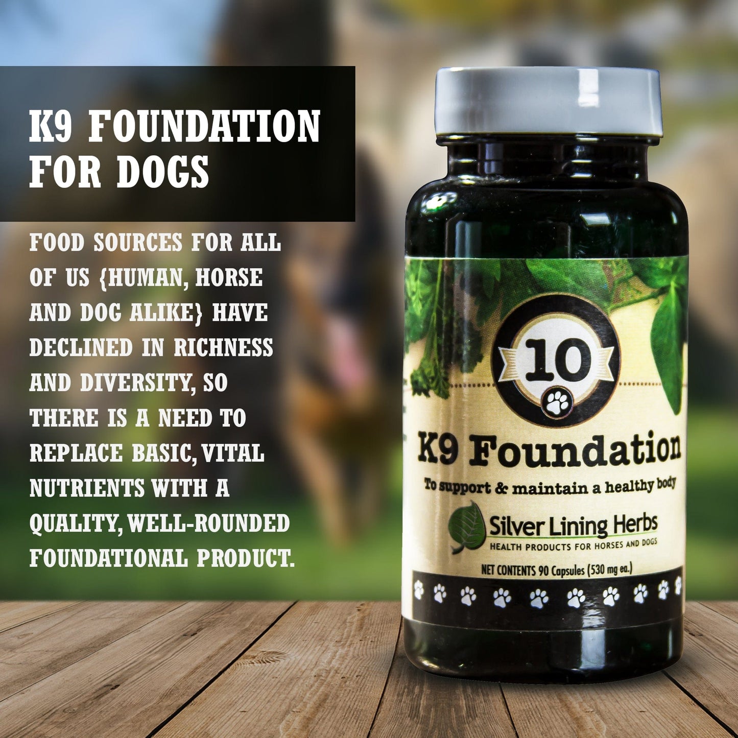 Foundation Base Herbal Supplement by Silver Linings Herbs
