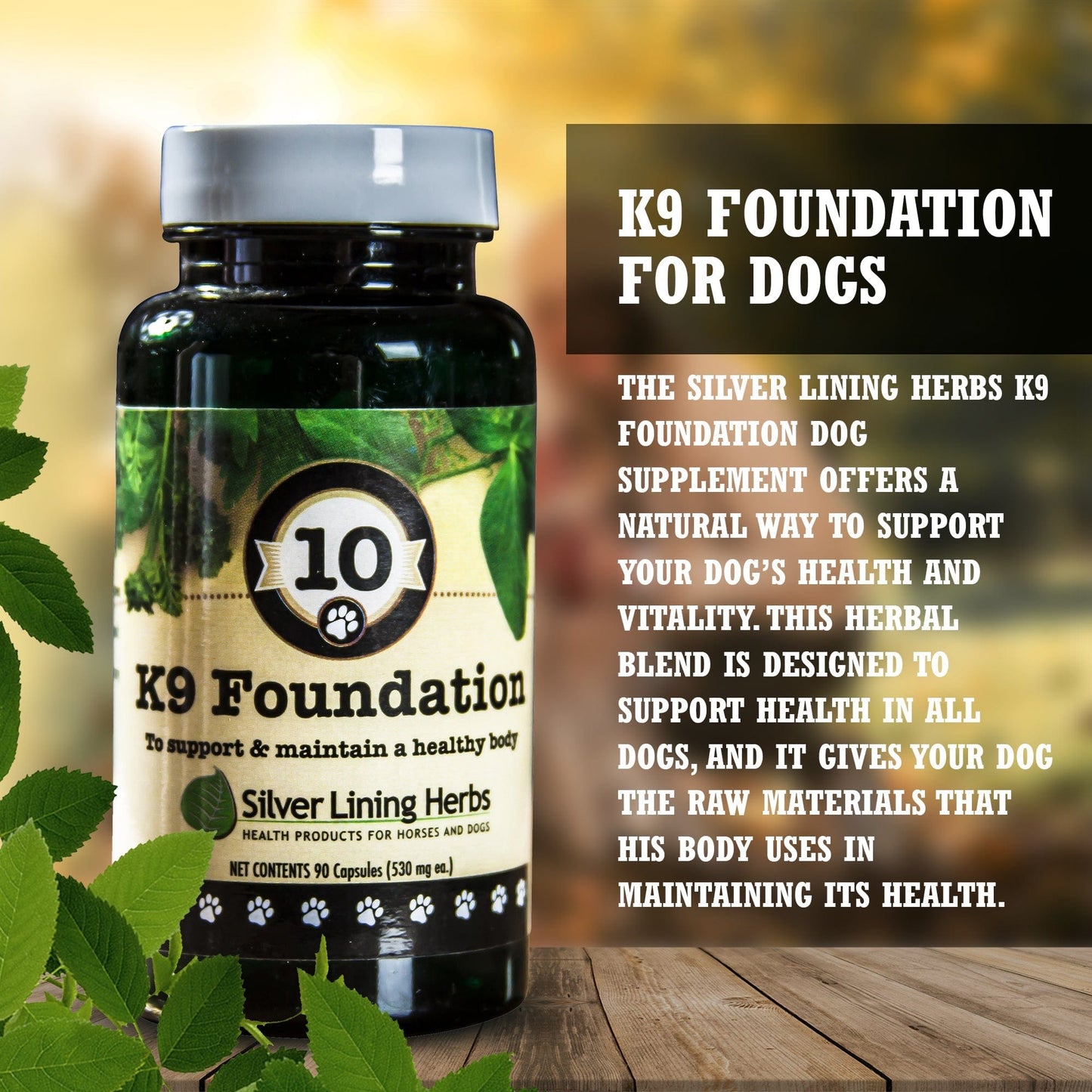 Foundation Base Herbal Supplement by Silver Linings Herbs