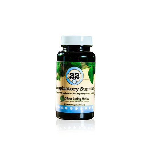 Respiratory Support by Silver Linings Herbs