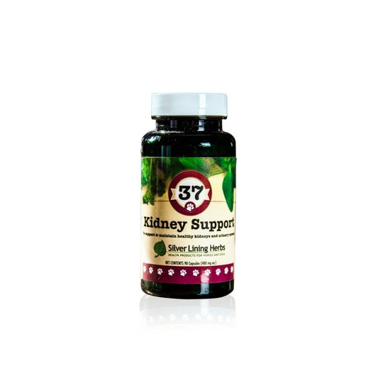 Kidney Support by Silver Linings Herbs