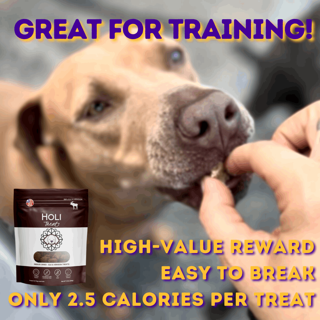 dog training with Elk & Venison Dog Treats by HOLI