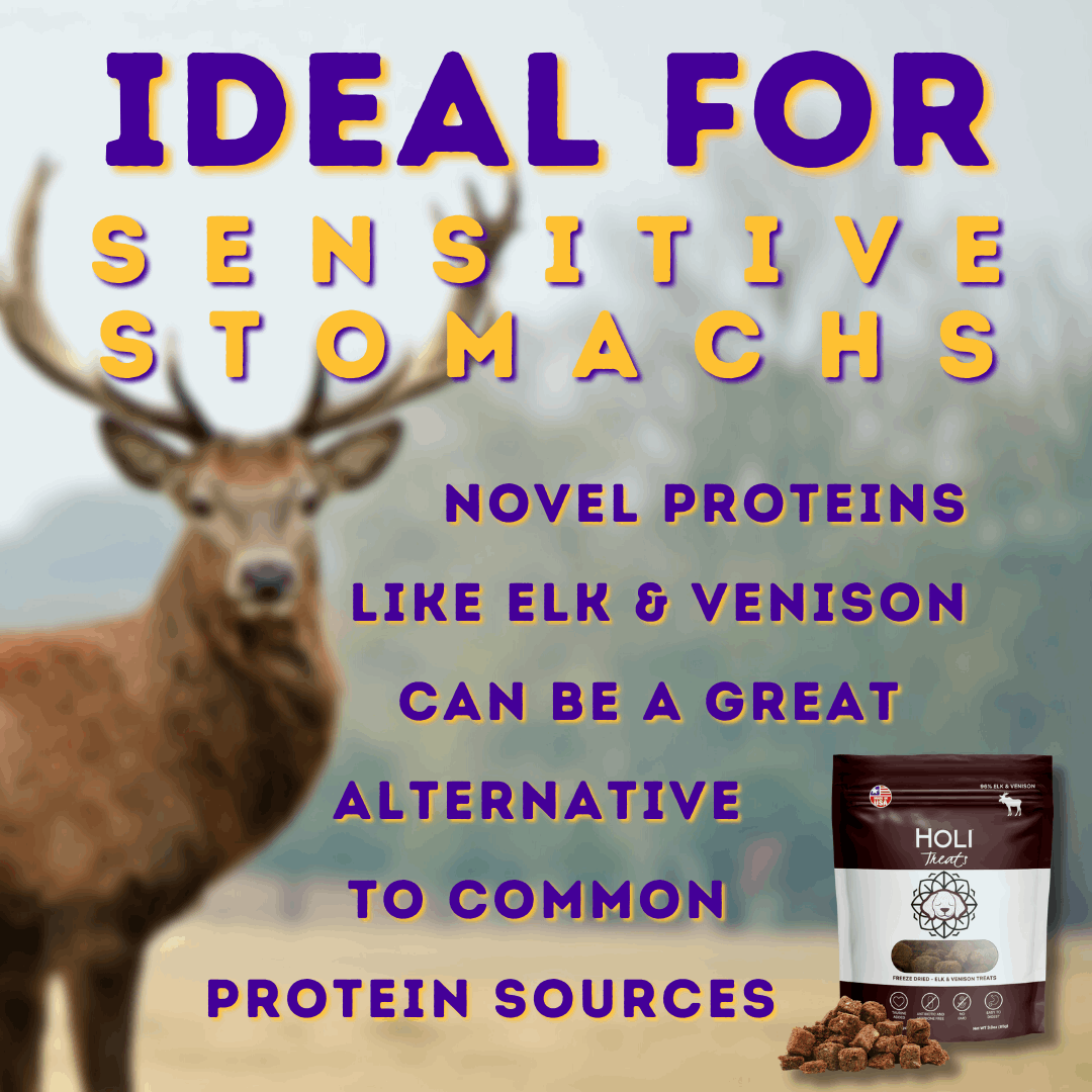 ideal for sensitive stomachs novel protein infographic