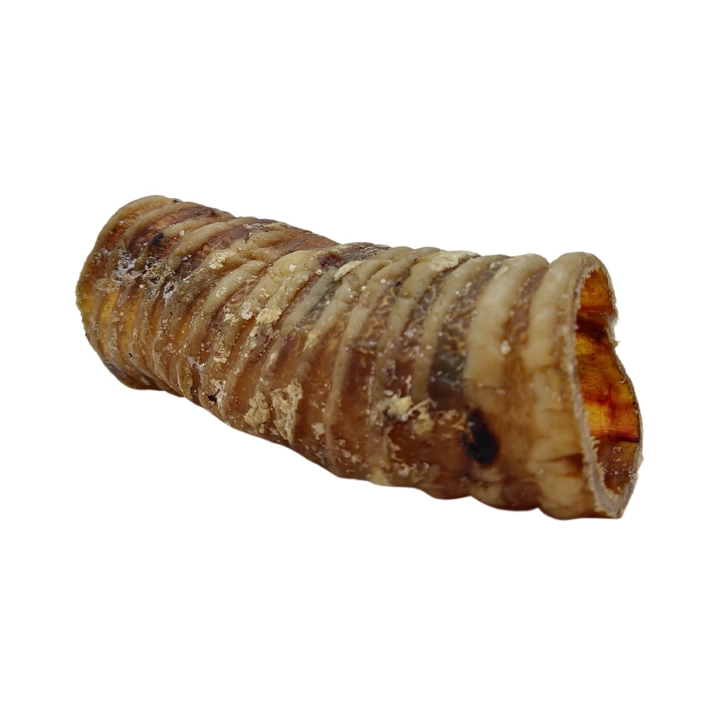 Country Living All-Natural Beef Trachea Dog Treats, Protein-Packed Chews – 6 Inches (5-Pack)