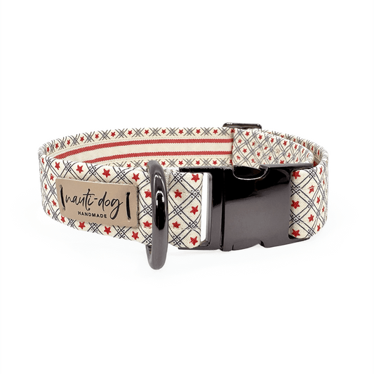 Betsy Ross Vintage Patriotic American Star Buckle & Martingale Dog Collar with black gun metal hardware