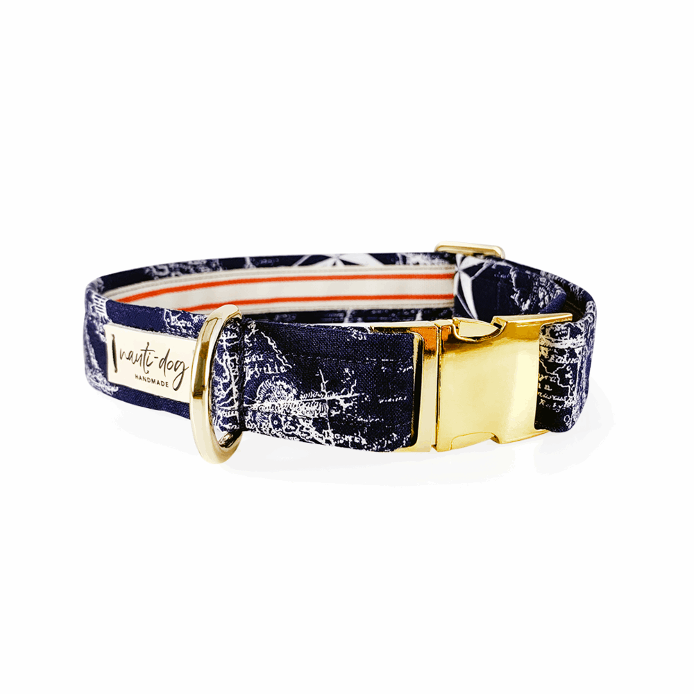 vintage navy and white maritime toile nautical map dog collar with gold hardware