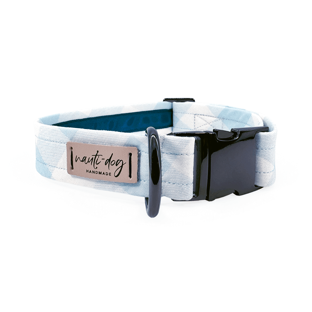Sky blue plaid check and white dog collar with black gun metal hardware