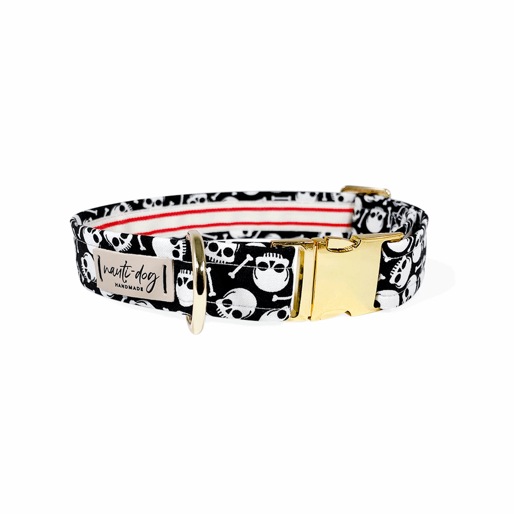 Davey Jones Pirate Skull & Bones black Buckle & martingale Dog Collar with gold hardware