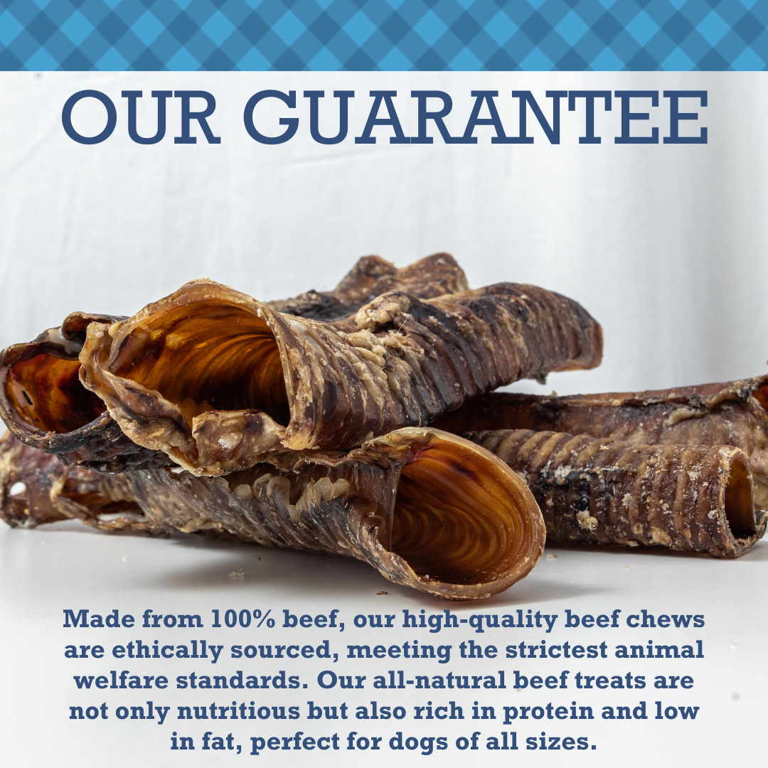 Country Living All-Natural Beef Trachea Dog Treats, Protein-Packed Chews – 6 Inches (5-Pack)