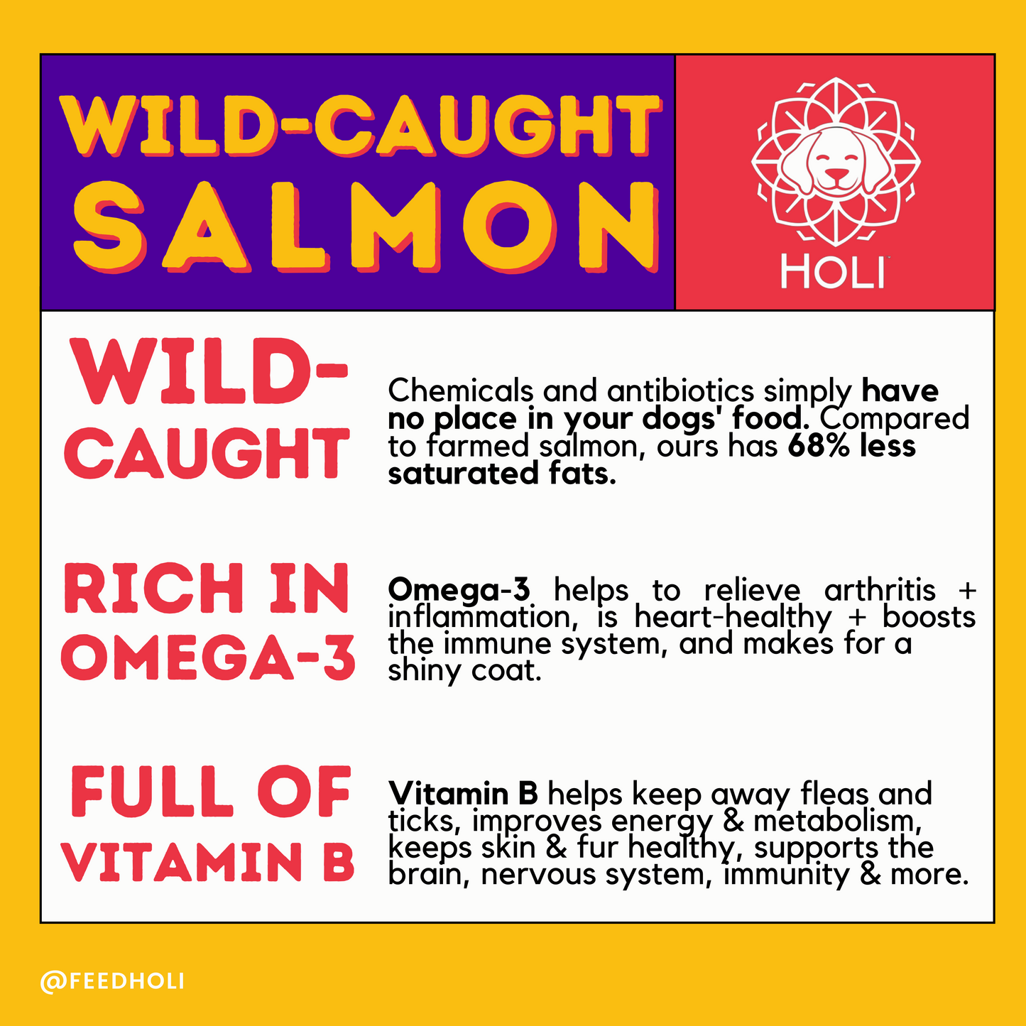 Wild caught salmon benefits infographic