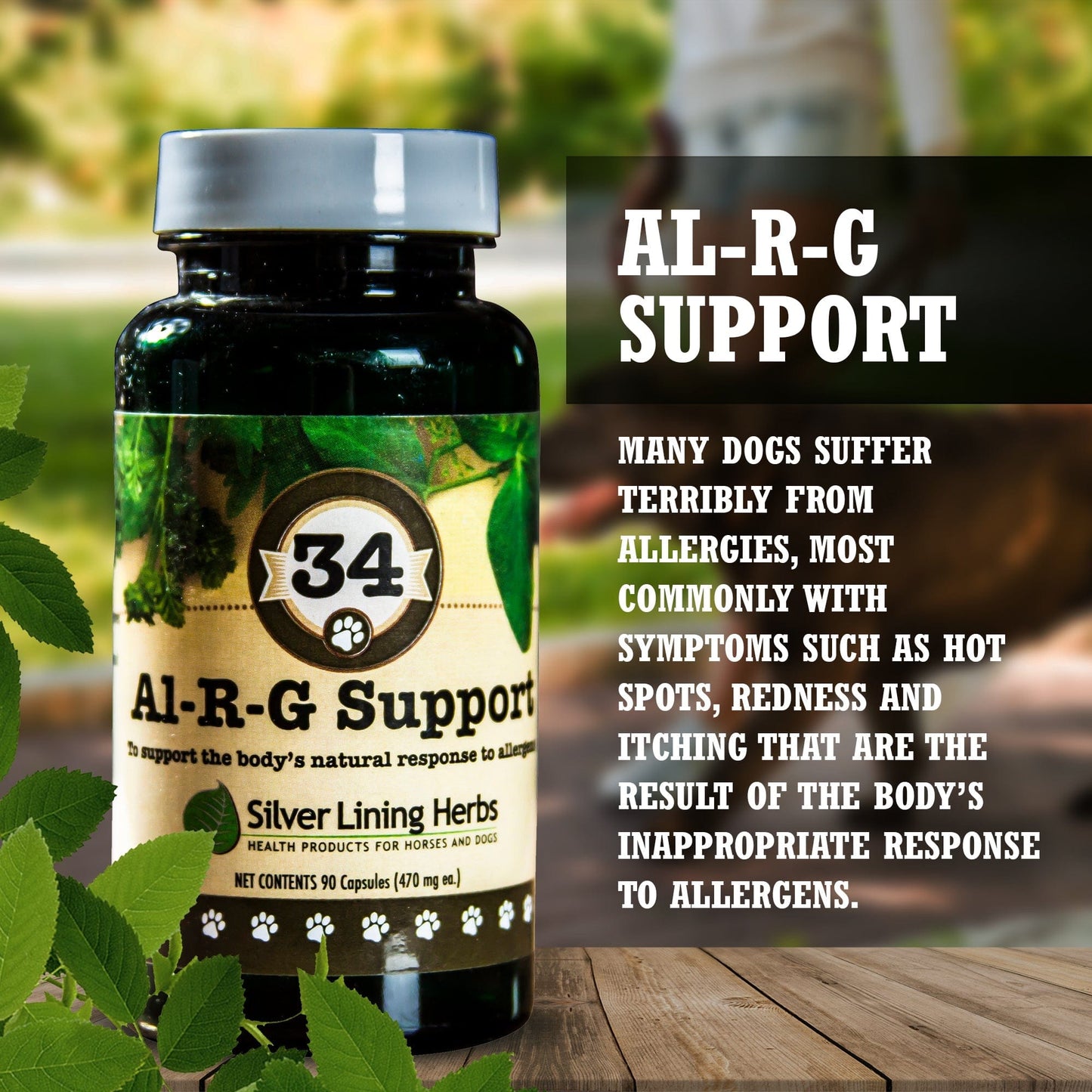 Al-R-G (Allergy) Support by Silver Linings Herbs