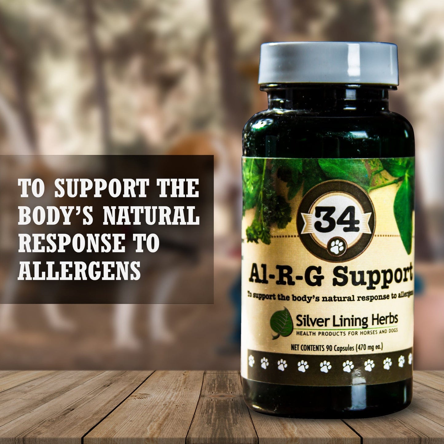 Al-R-G (Allergy) Support by Silver Linings Herbs