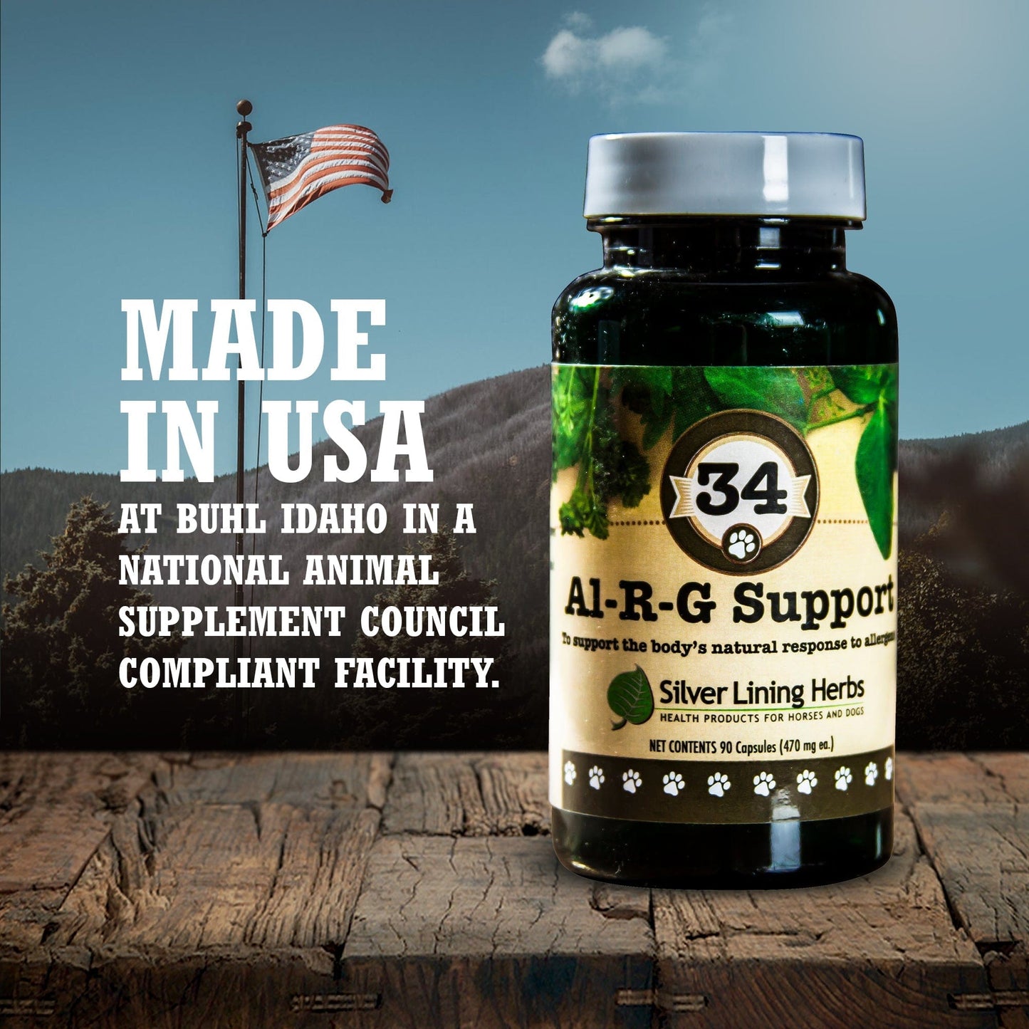 Al-R-G (Allergy) Support by Silver Linings Herbs