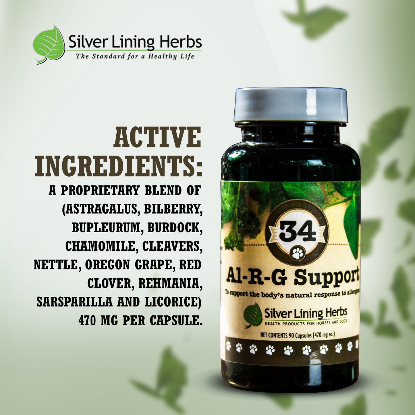 Al-R-G (Allergy) Support by Silver Linings Herbs