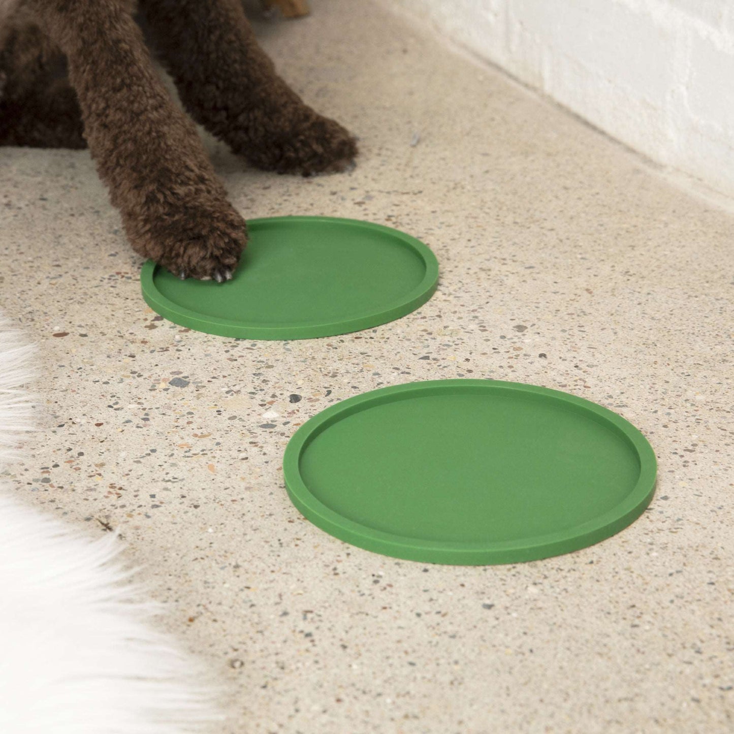 Habit Circle Non-slip Silicon Dog Bowl Placemat (Set of 2) by Waggo size reference