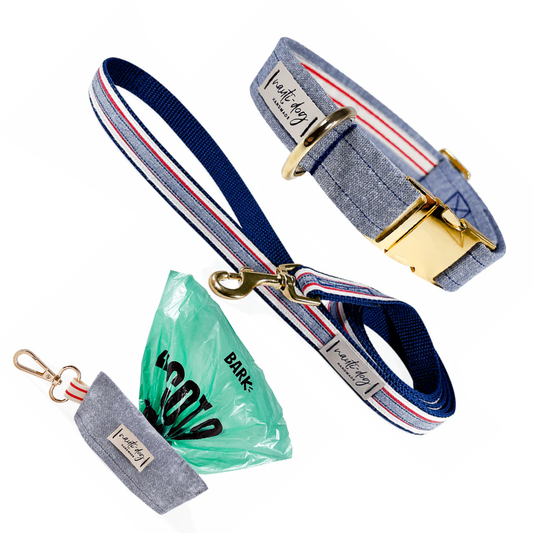 Chambray Oxford Denim Collar, Leash & Wastebag Dispenser Walking Set with Polished Gold Hardware
