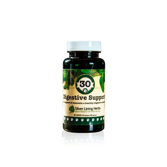 Digestive Support by Silver Linings Herbs