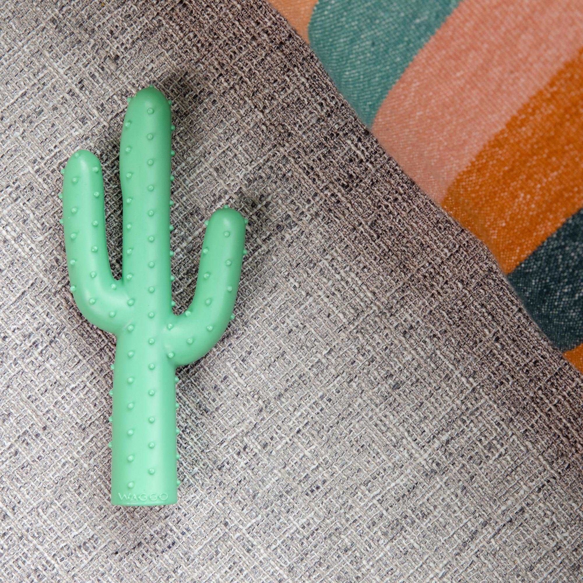 Silly Succulent Cactus rubber Dog chew Toy by Waggo on couch