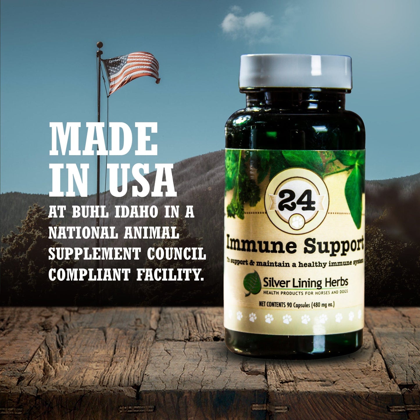 Immune Support by Silver Linings Herbs